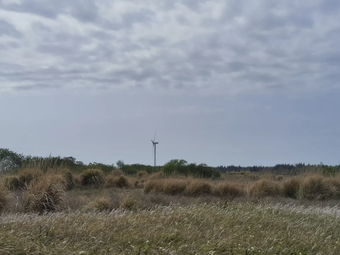 家乡野外的风景